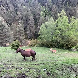  Apartamento Meligar - G21 Deusol - Estudio Andorra
